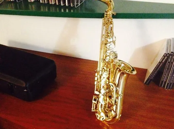 La Mansarda Della Musica Lägenhet Bologna